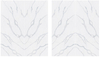 Engineered Quartz Calacatta Series FS303 Calacatta Forest for Countertops , Vanity , Prefab , Tiles , Walls 